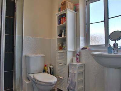 Picture 13
